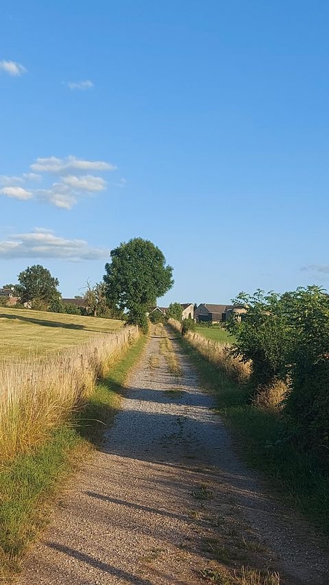 Ein schmaler Weg führt durch eine ländliche Gegend mit grünen Wiesen und Bäumen. Der Himmel ist klar und blau.