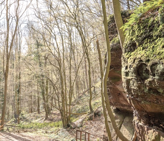Entdeckungspfad-Nideggen-Sch&uuml;dderfeld-web-06, &copy; Rureifel Tourismus GmbH, Jacqueline Niedermeier