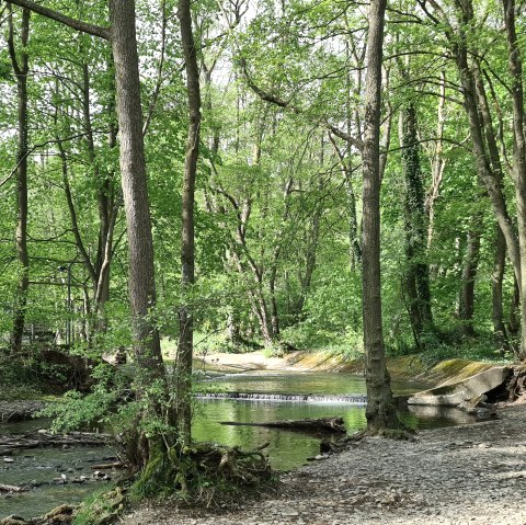 Langs de Kall, &copy; Rureifel-Tourismus e.V.
