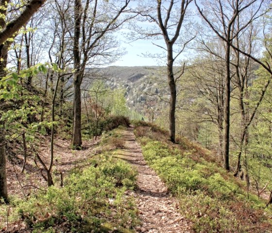 Op de Hundsleyweg