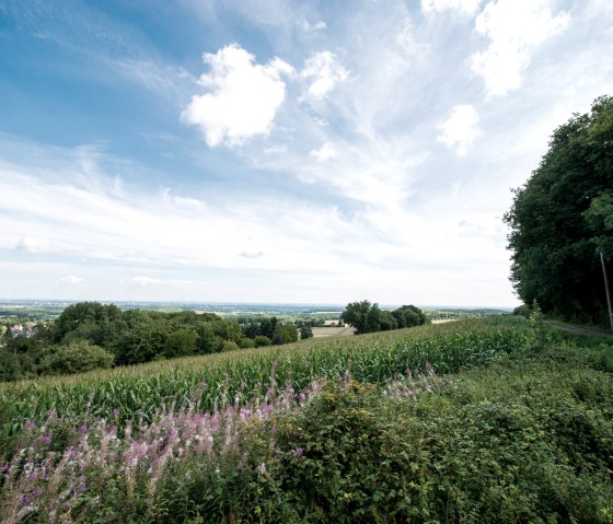 Uitzicht op de J&uuml;lich B&ouml;rde, &copy; some.oner