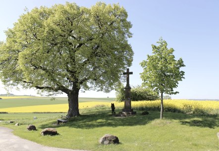 B&ouml;rdeblick Heimbach-Vlatten, &copy; Rureifel-Tourismus e.V.