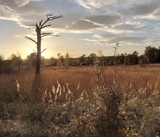 Abendstimmung Oktober (co) Thei&szlig;en-Braun