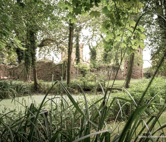 Teich, &copy; fountad mediendesign GbR, Philipp Jungbluth