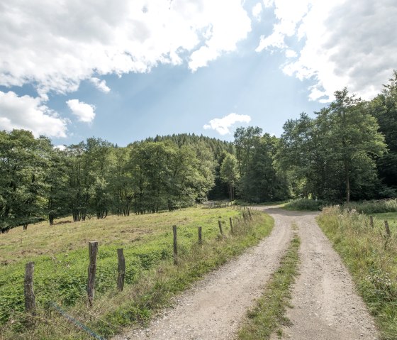 Dans les pr&eacute;s, &copy; some.oner