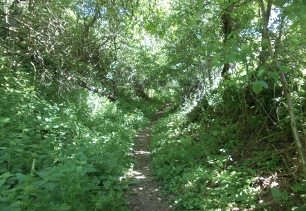 Hohlweg, © Eifel heimsch