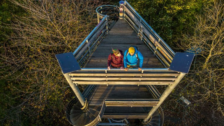 Eine Aussichtsplattform im Wald mit zwei Personen, die hinunterblicken. Umgeben von Bäumen vermittelt die Szene ein Gefühl der Naturverbundenheit.