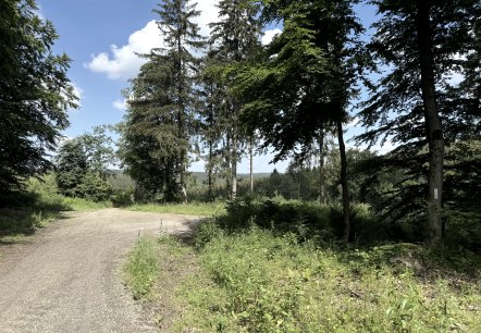Arch&auml;ologischer Wanderwege, &copy; Rureifel-Tourismus e.V., Dennis Winands