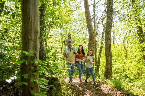 Zwei Wanderer gehen auf einem schmalen Pfad durch einen Wald. Neben dem Weg fließt ein kleiner Bach und die Sonne scheint.
