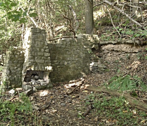 Une ruine le long du sentier de découverte, © Karl-Heinz Rosenzweig, Der-eifelyeti.de, © Der-eifelyeti.de