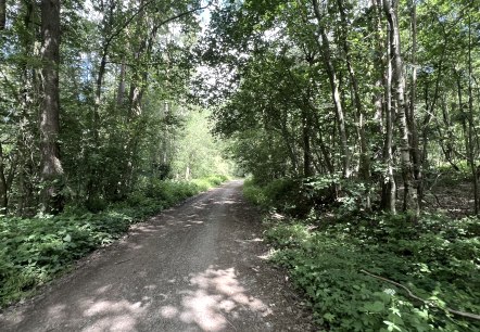 Entlang der Wanderung Nr. 43, &copy; Rureifel-Tourismus e.V., Michelle Wiesen