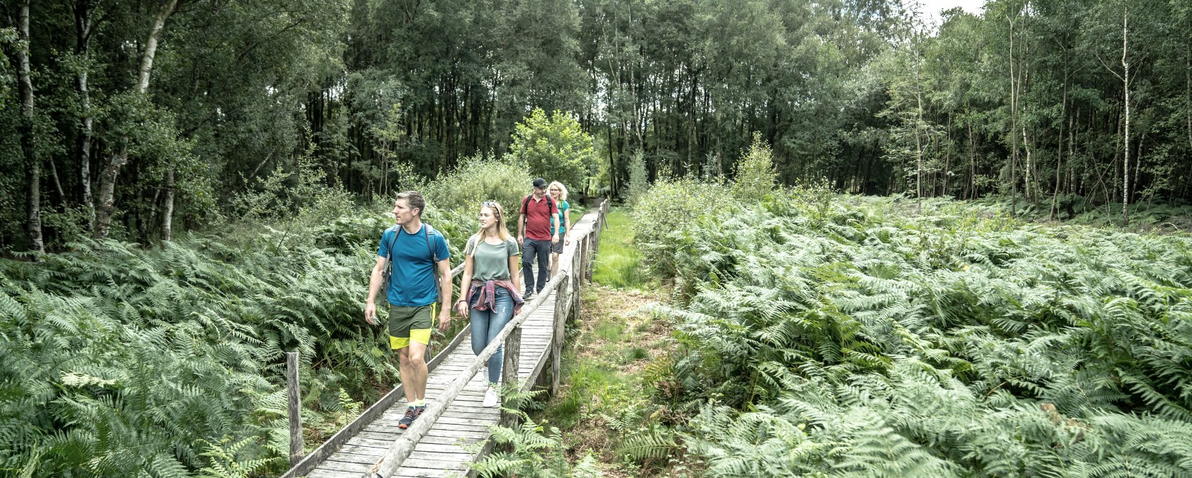 Bodenlehrpfand Todtenbruch, &copy; Kreis D&uuml;ren, Dennis Stratmann