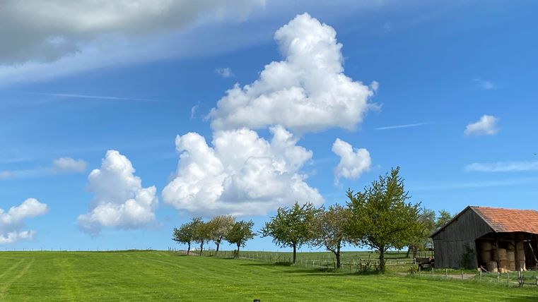 Eine grüne Wiese mit mehreren Bäumen und einem alten Scheunengebäude. Der Himmel ist blau mit weißen Wolken.