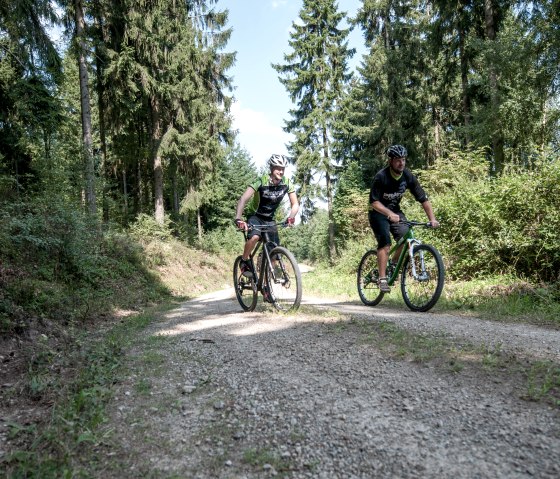 Radfahrer im Wald, &copy; Freifahrt Eifel - Kreis D&uuml;ren