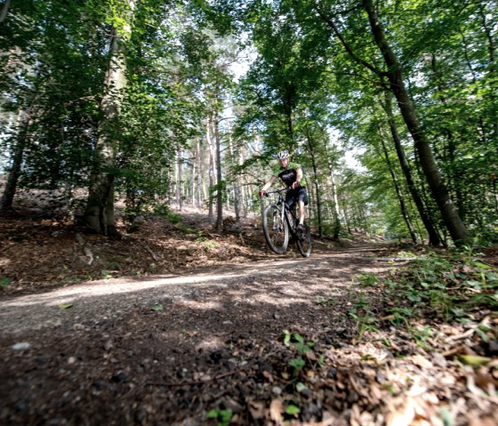 MTB-Tour Freifahrt Eifel, &copy; some.oner