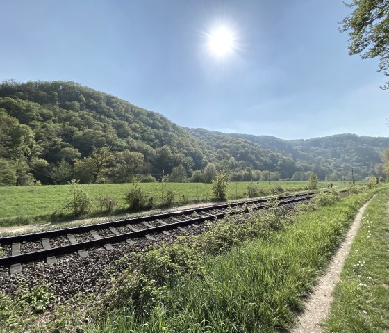 Rura floodplain [27], © Rureifel-Tourismus e.V. - Dennis Winands