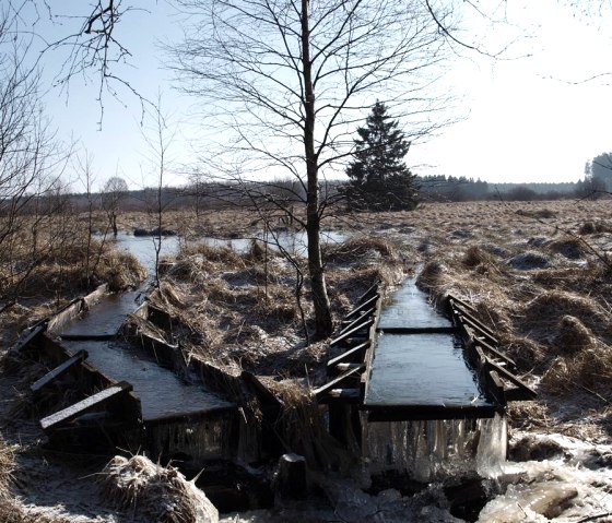 Eiszapfen, © seeblick-eifel.de