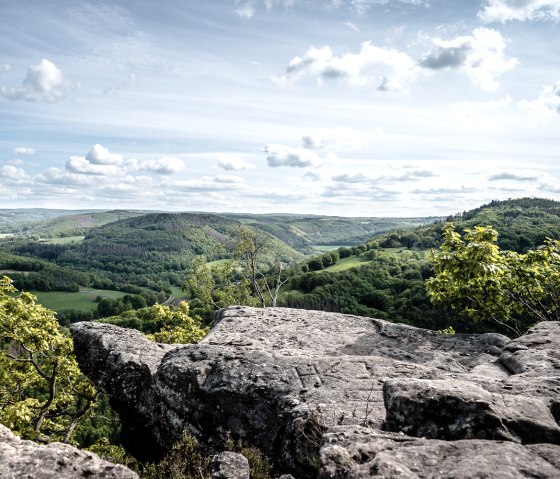 Blick vom Eugenienstein auf den Nationalpark Eifel, &copy; Dennis Stratmann | Gr&uuml;nmetropole e.V.