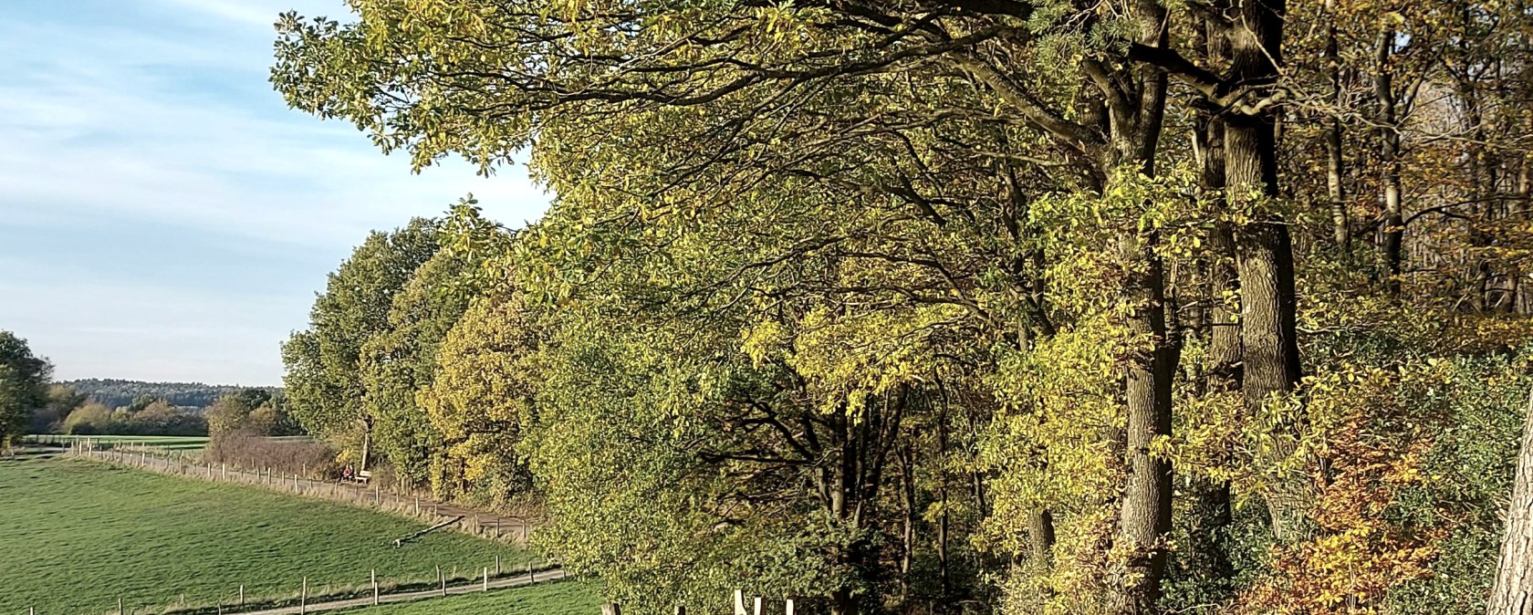 Lehmj&ouml;res Aussicht September-Oktober (co) Thei&szlig;en-