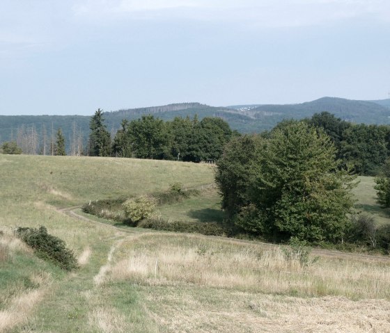 Aussicht, &copy; Eifel heimisch