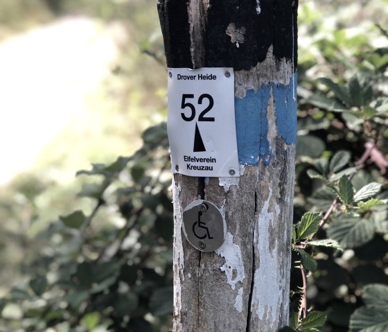 Wandelpad door de Drover Heath