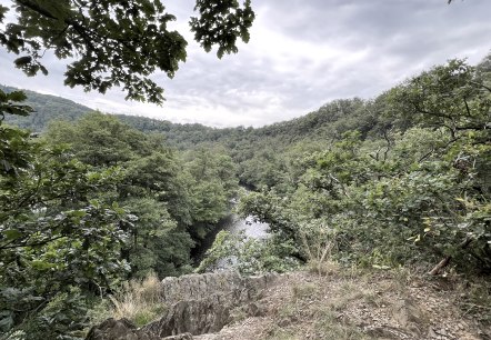 Ausblick auf die Rur, &copy; Rureifel-Tourismus e.V., Michelle Wiesen
