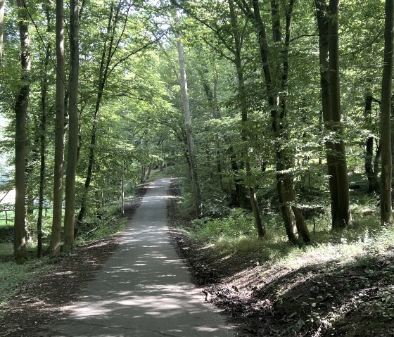 Entlang der Tour, &copy; Rureifel-Tourismus e.V., Michelle Wiesen