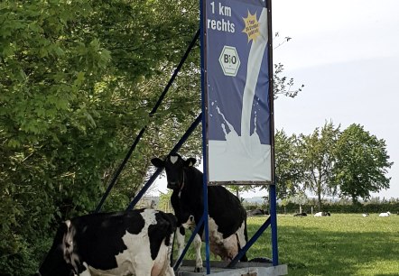Frische Milch aus dem Milchautomat, © Biohof Beuel