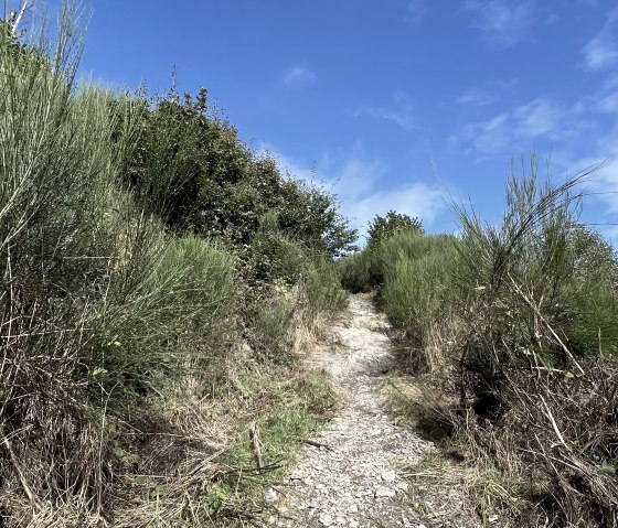 IMG_3653, &copy; Rureifel-Tourismus e.V., Michelle Wiesen