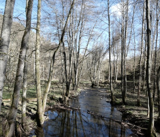 Idyllische Kall, &copy; Eifel heimisch