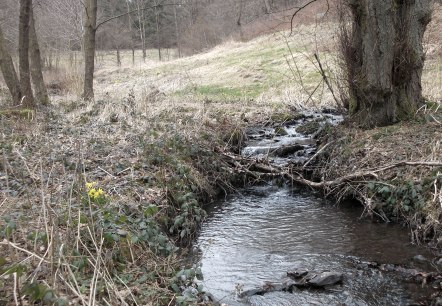 Weidenbachtal, &copy; Eifel heimisch