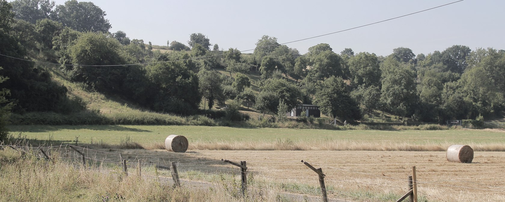 Le long des champs et des prairies, &copy; Rureifel-Tourismus e.V.