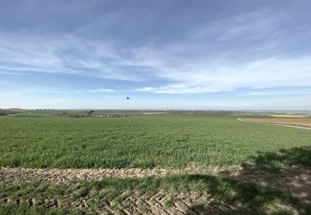 Weitsichten in der Bördelandschaft, © Rureifel-Tourismus e.V.