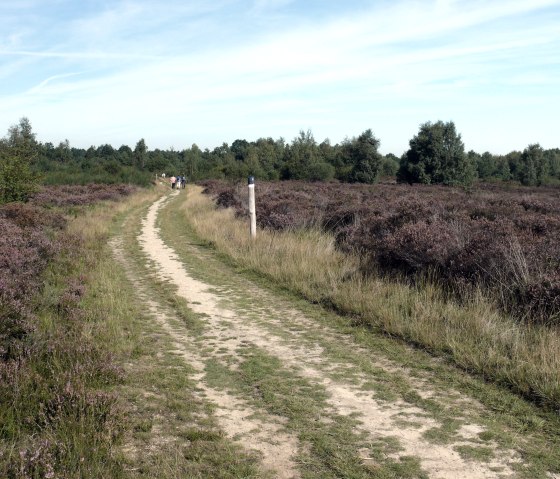 Le meilleur temps de randonn&eacute;e dans la Drover Heide, &copy; Gemeinde Kreuzau