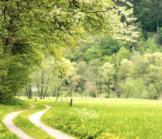RurUfer fietspad, &copy; St&auml;dteRegion Aachen
