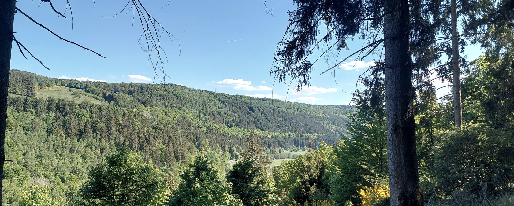 Ausblick Rurtal gr&uuml;n (co) Thei&szlig;en-Braun