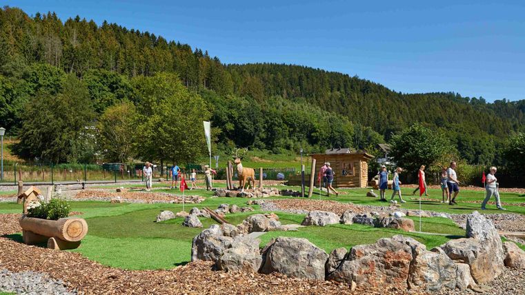 Ein schöner Spielplatz in der Natur mit vielen Kindern, die sich bewegen. Im Hintergrund sind Bäume und ein blauer Himmel zu sehen.
