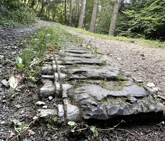 IMG_3698, &copy; Rureifel-Tourismus e.V., Michelle Wiesen