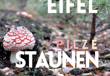 Natur Pur Eifel, &copy; Natur Pur Eifel