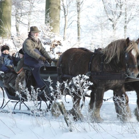 Bauershof, &copy; Friedrich Bauer