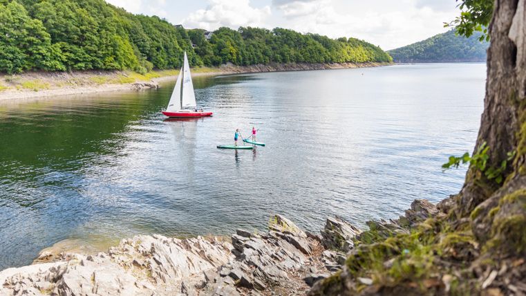 Ein ruhiger See mit grünen Ufern und einer Segelyacht. Zwei Personen paddeln auf Stand-Up-Paddle-Boards in der Nähe des Ufers.