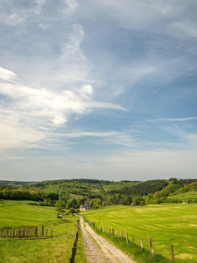 Eine malerische Landschaft mit einem Kiesweg, der durch grüne Wiesen führt. Der Himmel ist blau mit einigen Wolken.