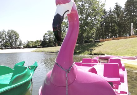 Badesee Echtz Tretboot, &copy; WIN.DN GmbH, Foto: Angela Wolter