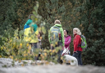H&ouml;ller Horn auf der Sophienh&ouml;he, &copy; Dennis Stratmann | Kreis D&uuml;ren