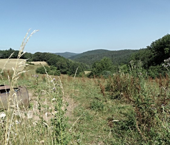 Chemin de la forêt de baignade