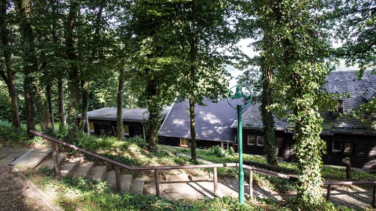Ein ruhiger Weg mit Stufen, der durch einen Wald führt. Im Hintergrund sind Gebäude zu sehen, die von Bäumen umgeben sind.