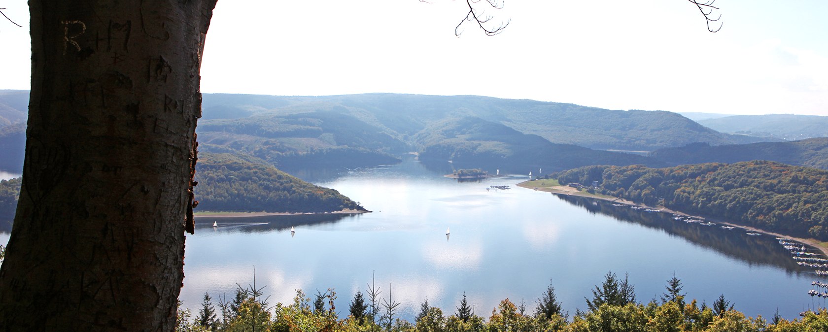 View of the Rursee from the cliffs