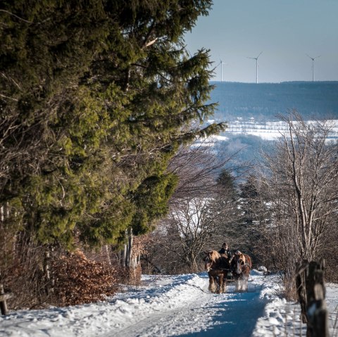 Bauershof M&uuml;tzenich, &copy; Akim-Tierfotografie
