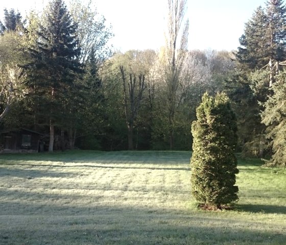 Vue sur le jardin