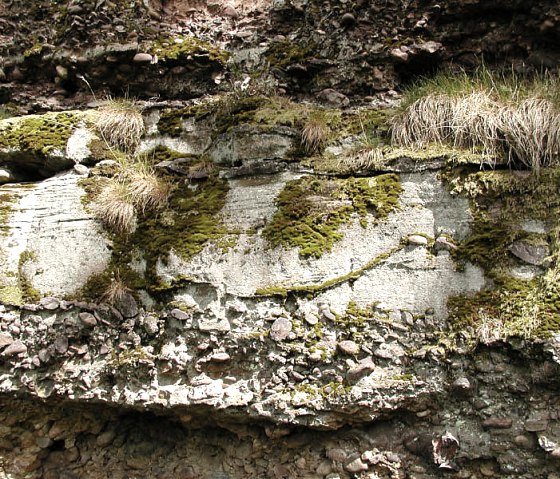 Rotspassage [07] PDF